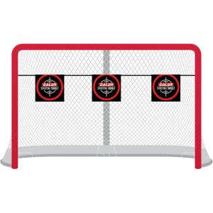EALER Hockey Goal with Shooting Targets – 6′×4′ Portable Street & Ice Goal, Heavy-Duty 2″ Steel Frame, 11 Target Holes, Tear-Proof Fabric, Official Size, Easy Backyard Assembly(3 Hockey Targets & 1 Straps)